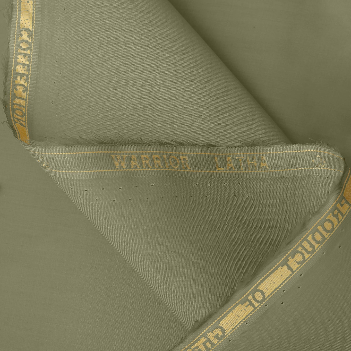 Warrior - Latha