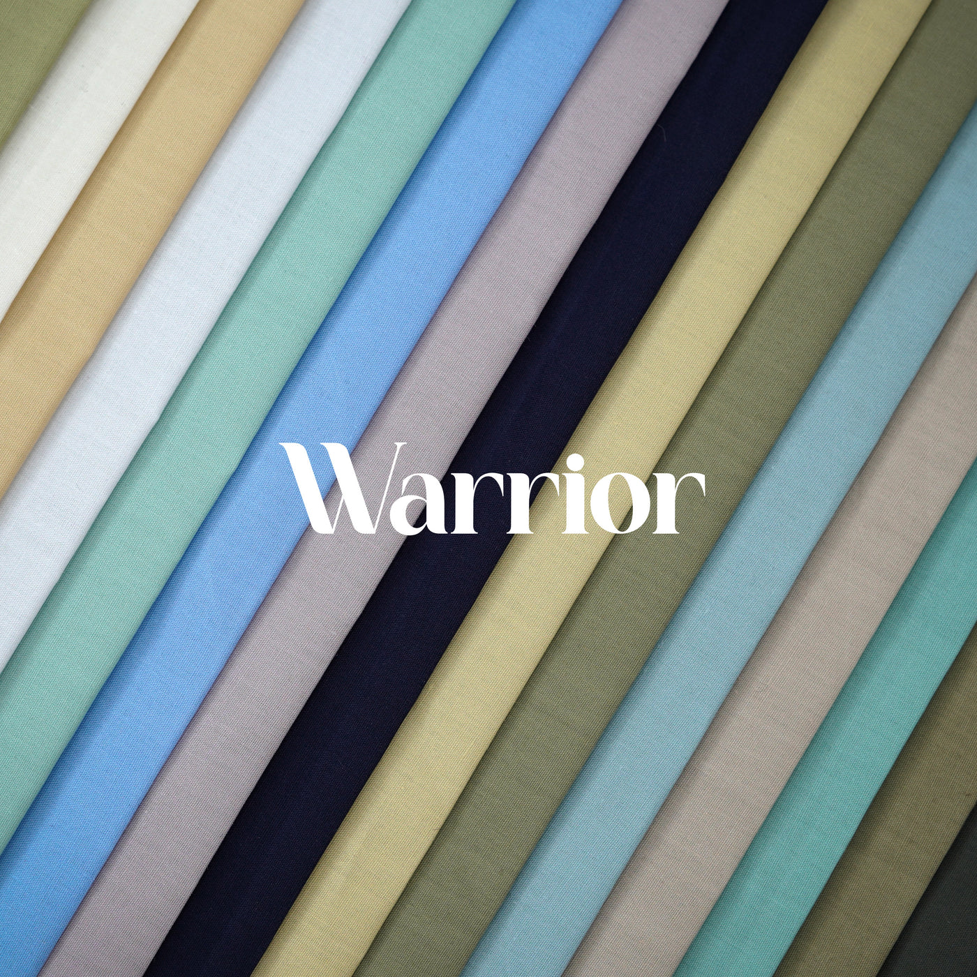 Warrior - Latha