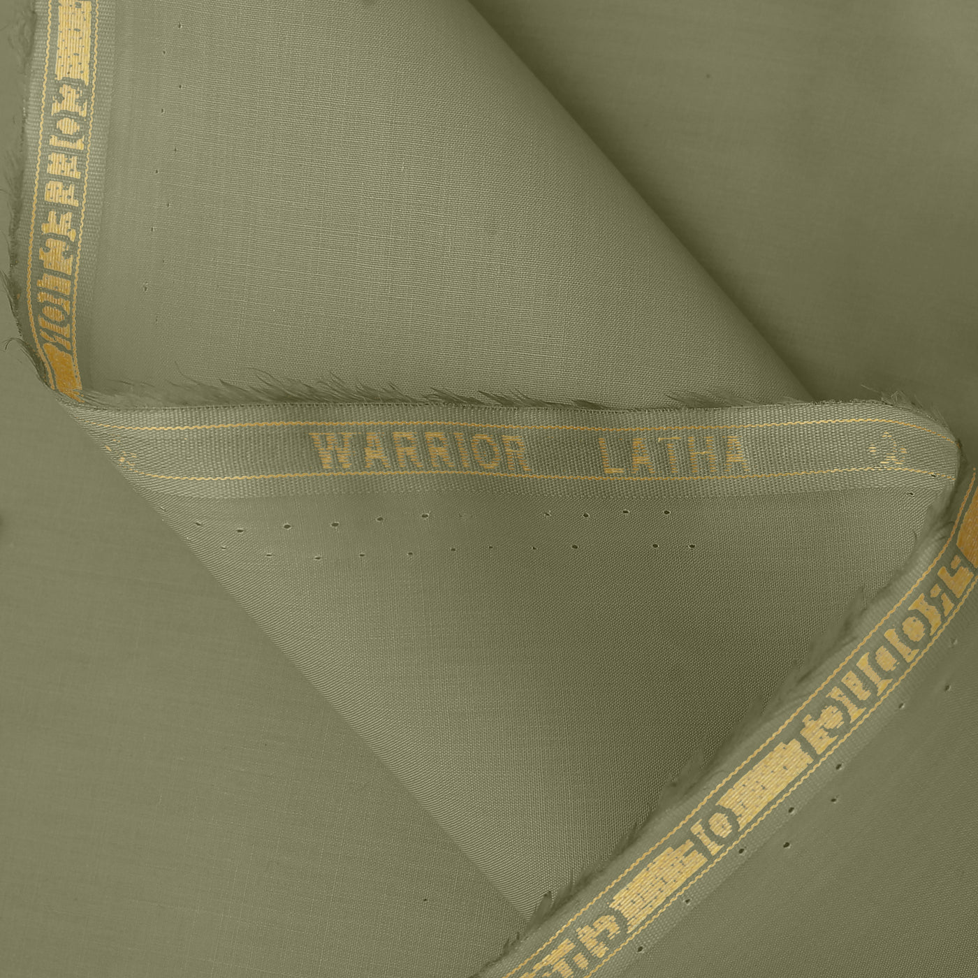 Warrior - Latha