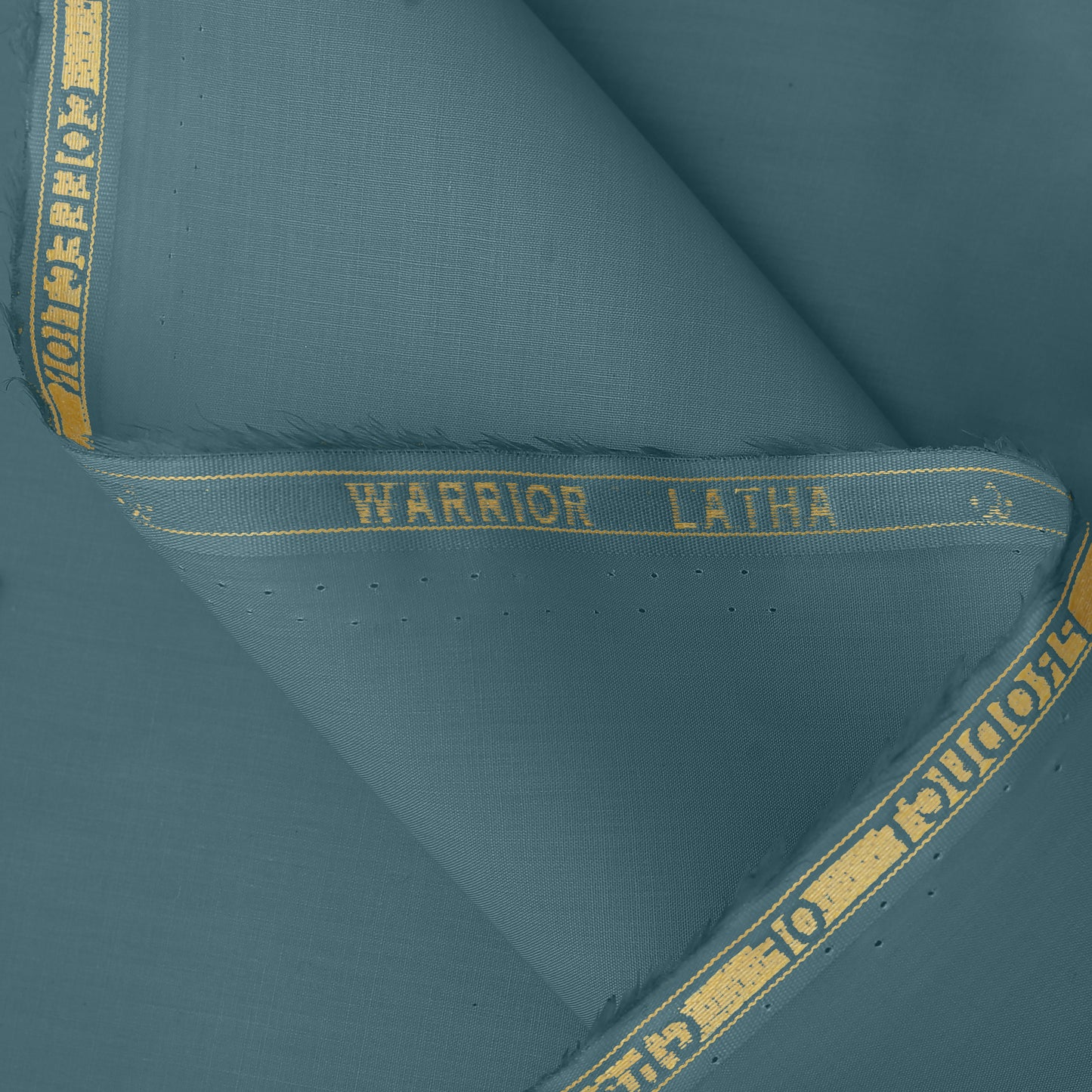 Warrior - Latha