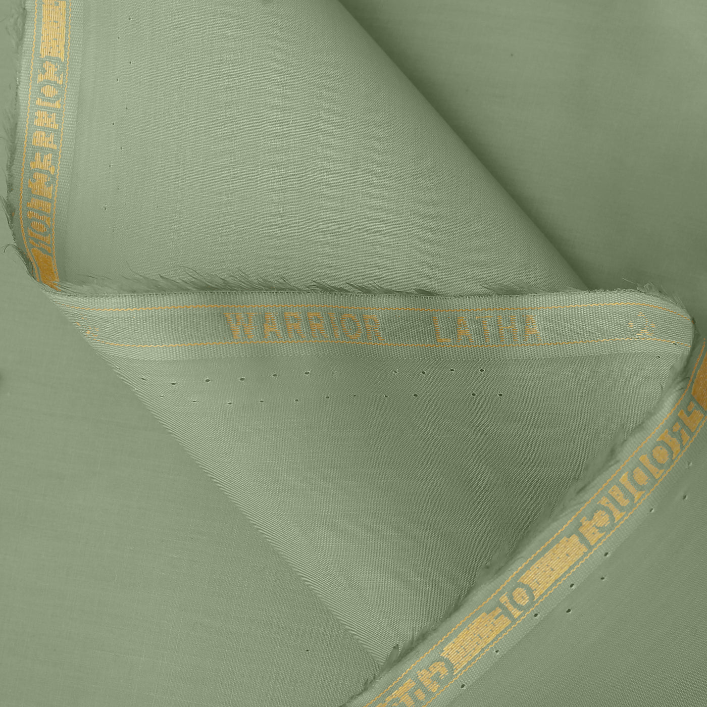 Warrior - Latha
